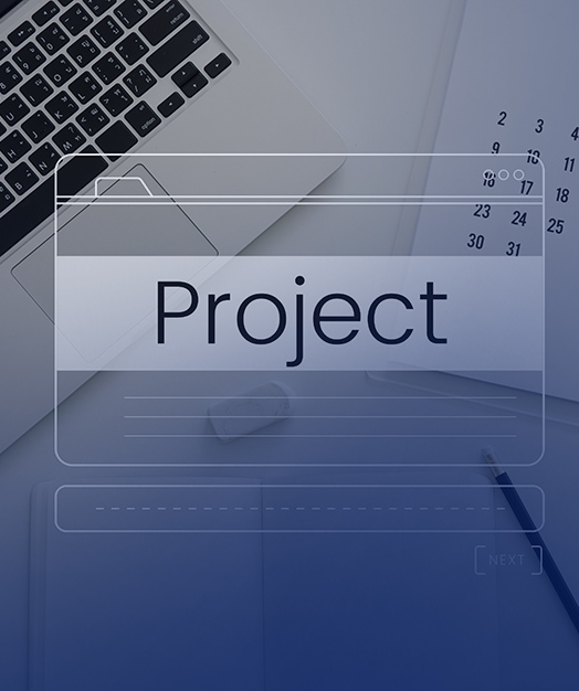 Business team discussion about PRO services